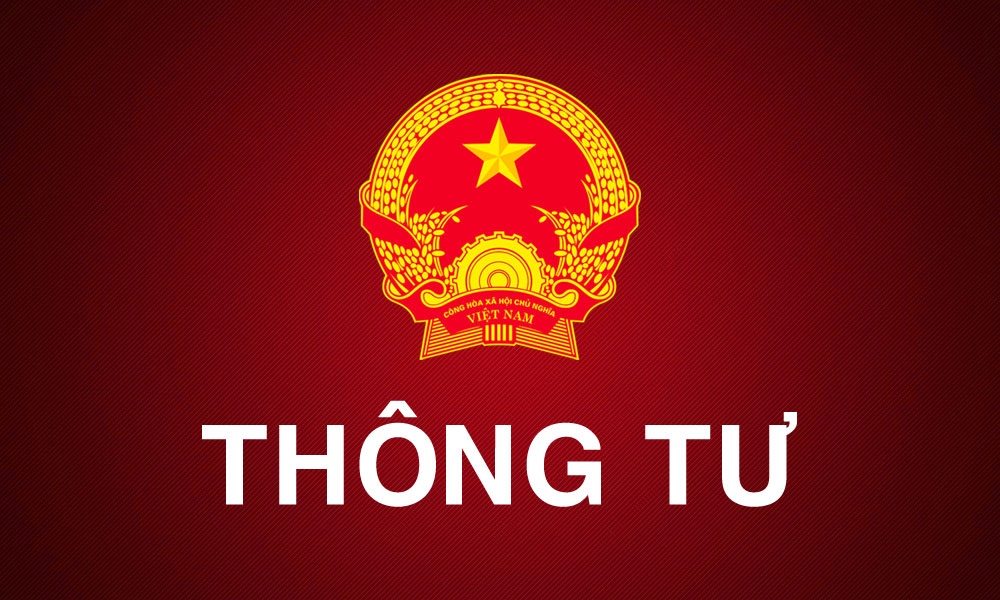Không có ảnh
